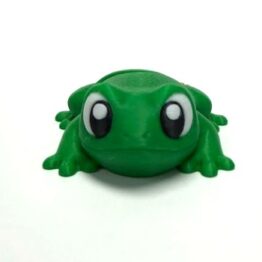 frog-flexi-keychain-front