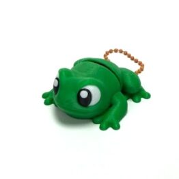 Frog Flexi Keychain